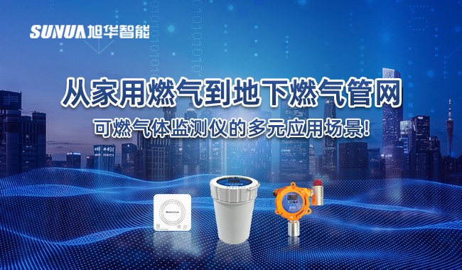 可燃气体监测仪